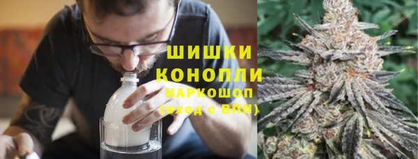 ECSTASY Костерёво