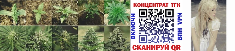 Купить  Снежинск  ТГК вейп с тгк 