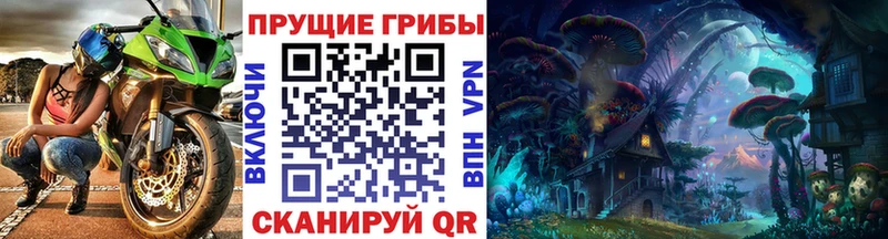 Купить  Снежинск  Псилоцибиновые грибы мицелий 